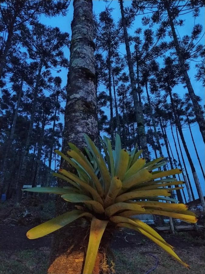 Chales Descanso Na Serra Монти-Верди Экстерьер фото
